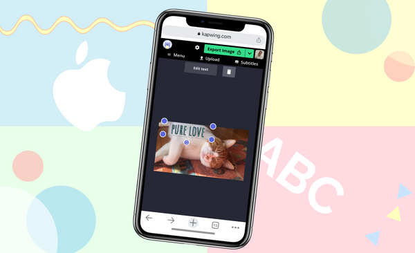 Add Text - Kapwing Resources