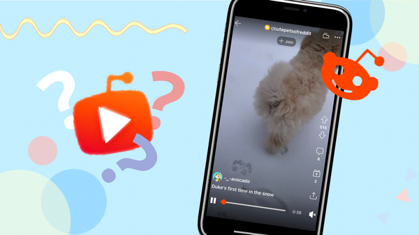 NEW Reddit Video Feed: Everything You Need to Know