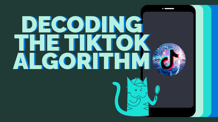 How to Make the TikTok Algorithm Work for You in 2024