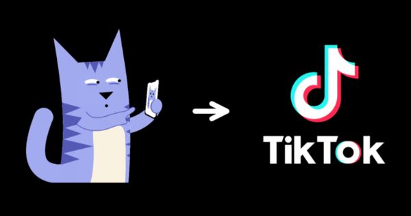 Introducing Share to TikTok on Kapwing