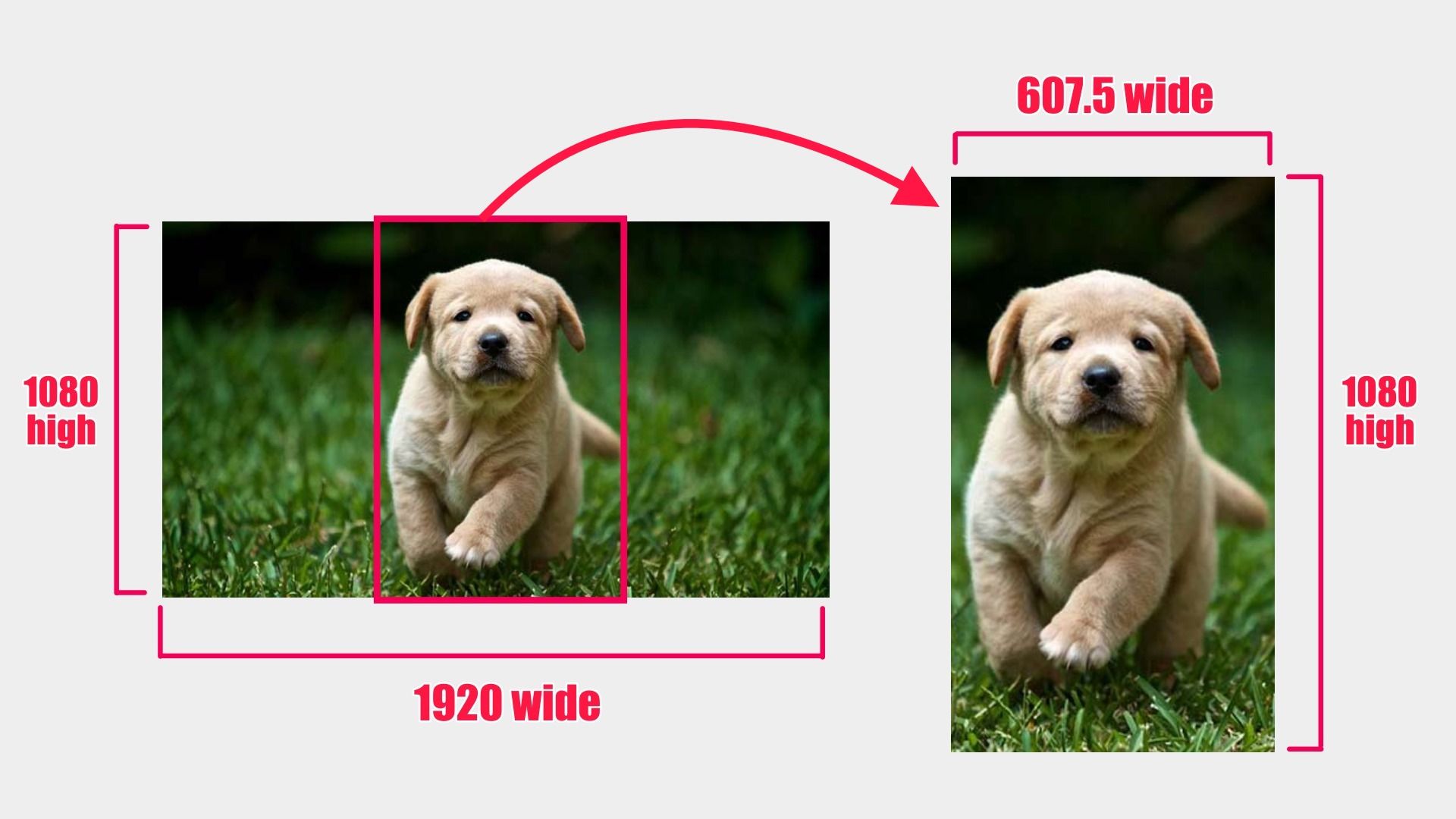 A graphic to demonstrate what resizing and cropping looks like. On the left, a widescreen image of a puppy is shown, with the dimensions 1080 pixels high and 1920 pixels wide. A vertical red rectangle is overlaid to show how the user might crop part of the photo out. On the right side, a vertical image of the puppy is shown, in a 9:16 crop of the original left image, with the dimensions 607.5 pixels wide and 1080 pixels high.