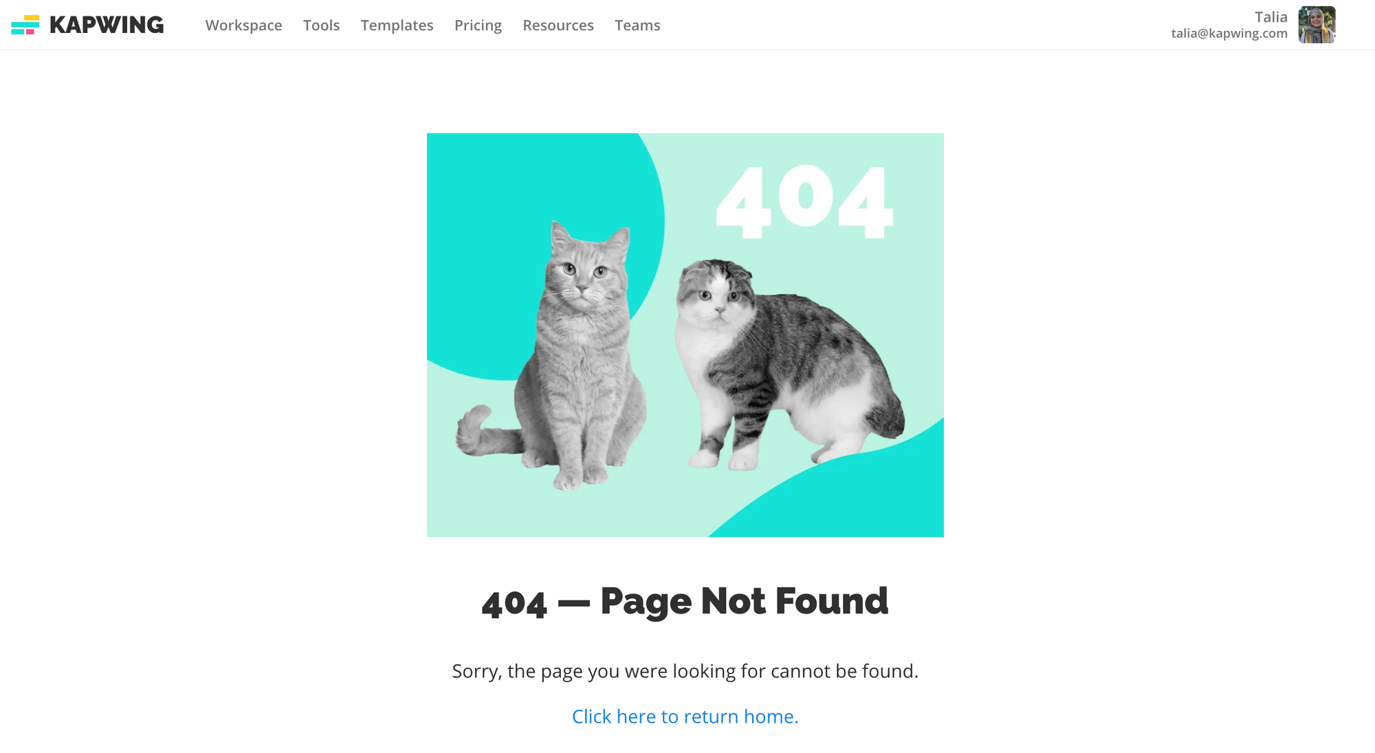 A screenshot of a 404 error - page not found page with additional text, a link to return home, and a graphic of two real cats instead of our cartoon mascots