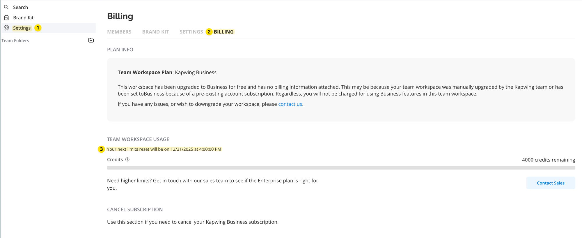 Settings > Billing > Team Workspace Usage Screenshot