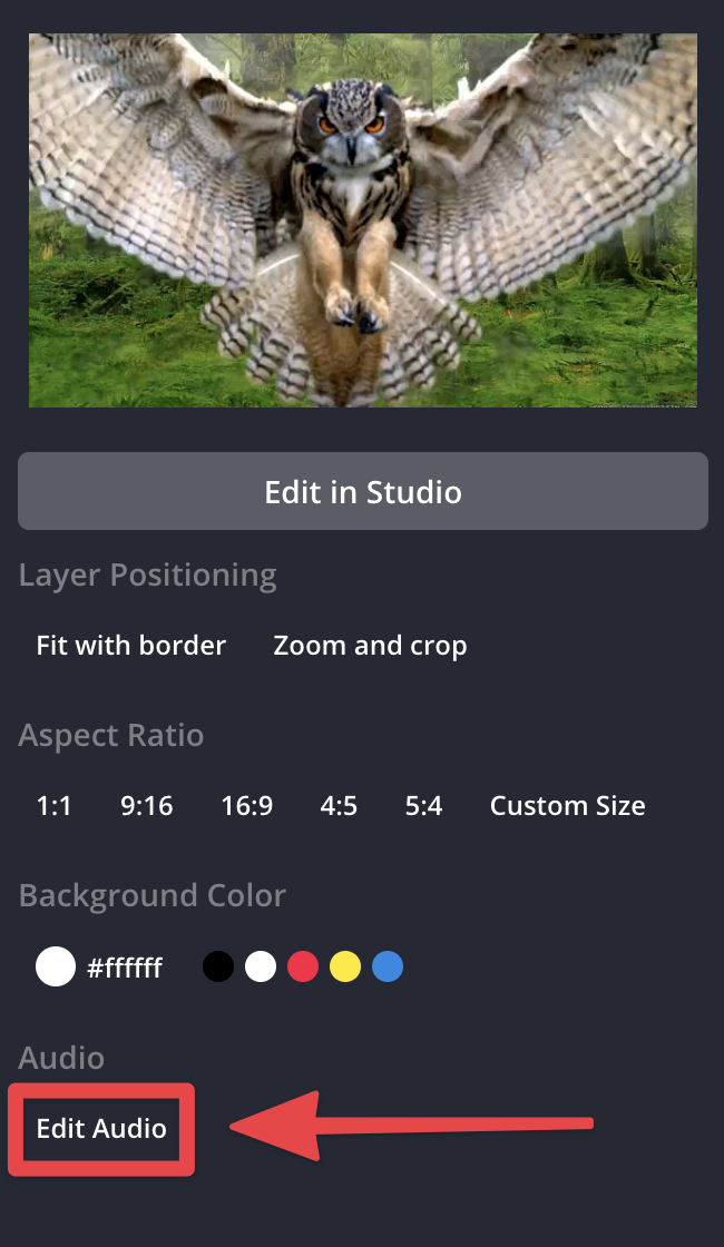 Adding Audio to Video Projects in Kapwing
