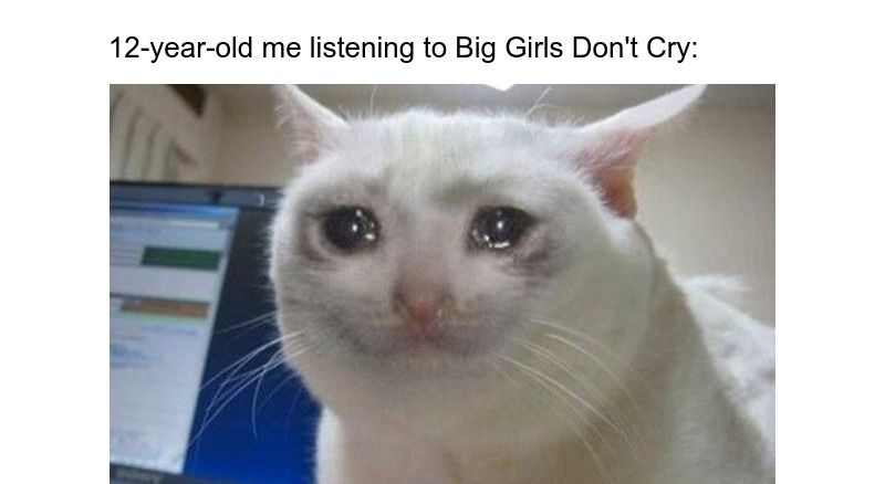 A meme using Crying Cat, a very old cat meme format. 