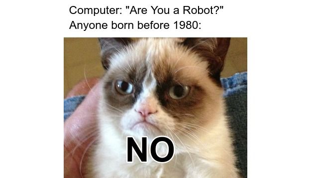 A meme using the Grumpy Cat format. 
