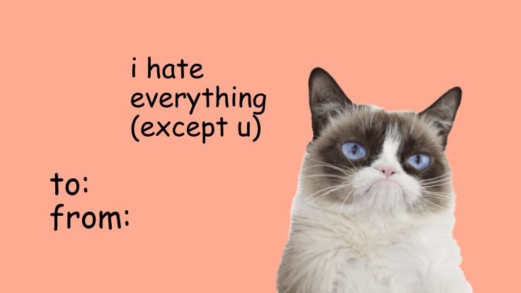 grumpy cat valentines meme