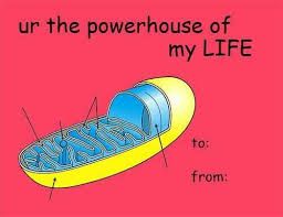 mitochondria valentines meme