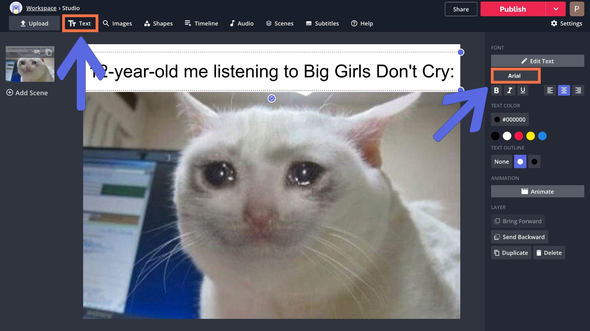 A screenshot of a Sad Cat meme being made in the Kapwing Studio. 
