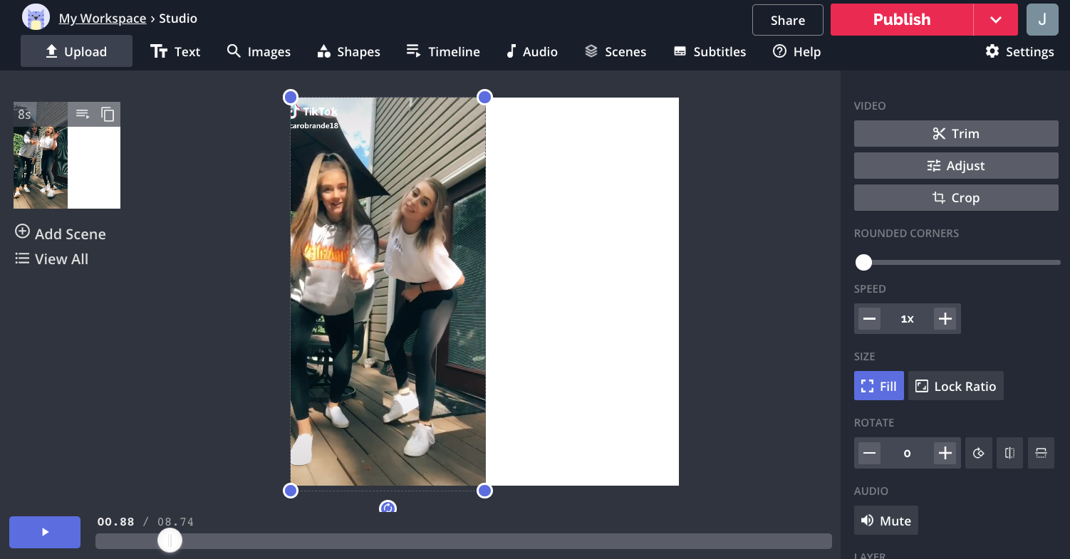 How To Mirror A Video Or Image