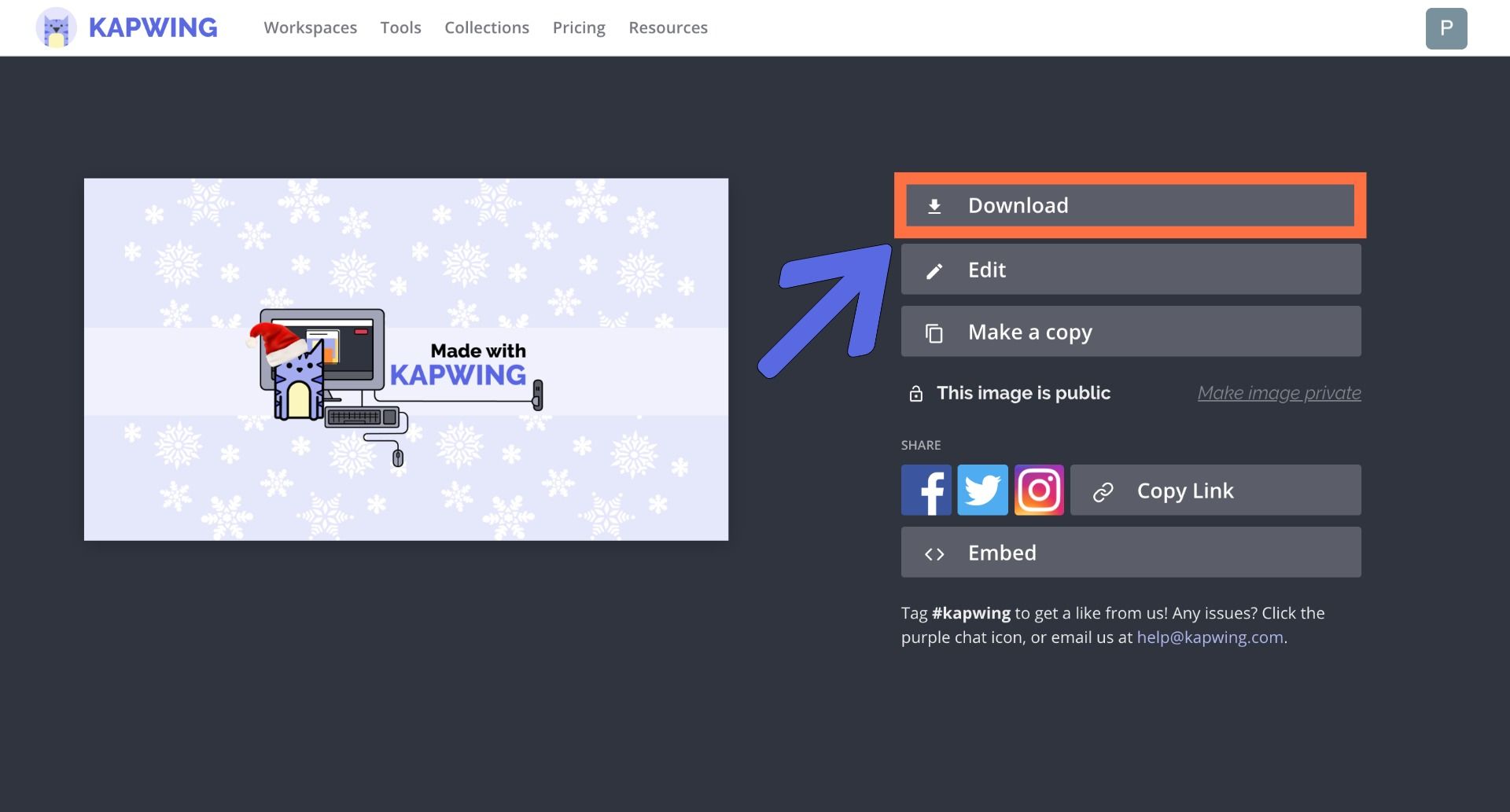 A screenshot of the Kapwing download page. 