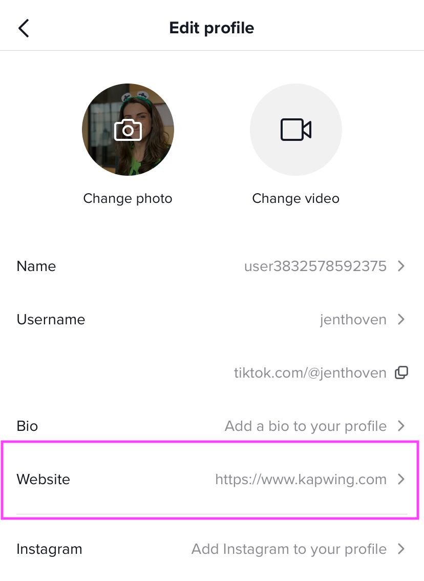 A screenshot showing how to add a link to your TikTok bio.