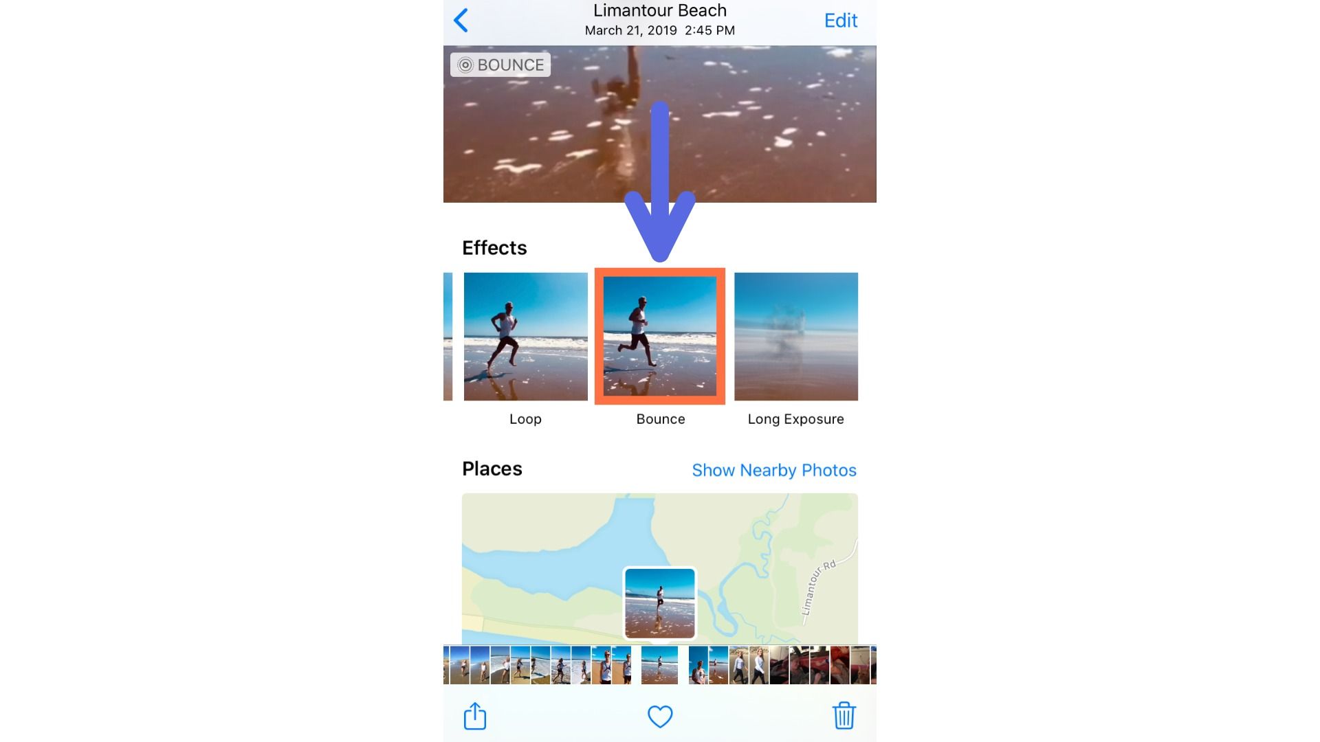 A screenshot showing the Live Photo Bounce and Loop options on iPhone. 