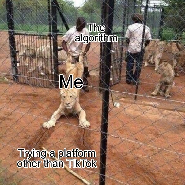 A meme demonstrating how the TikTok algorithm tries to keep users engaged. 
