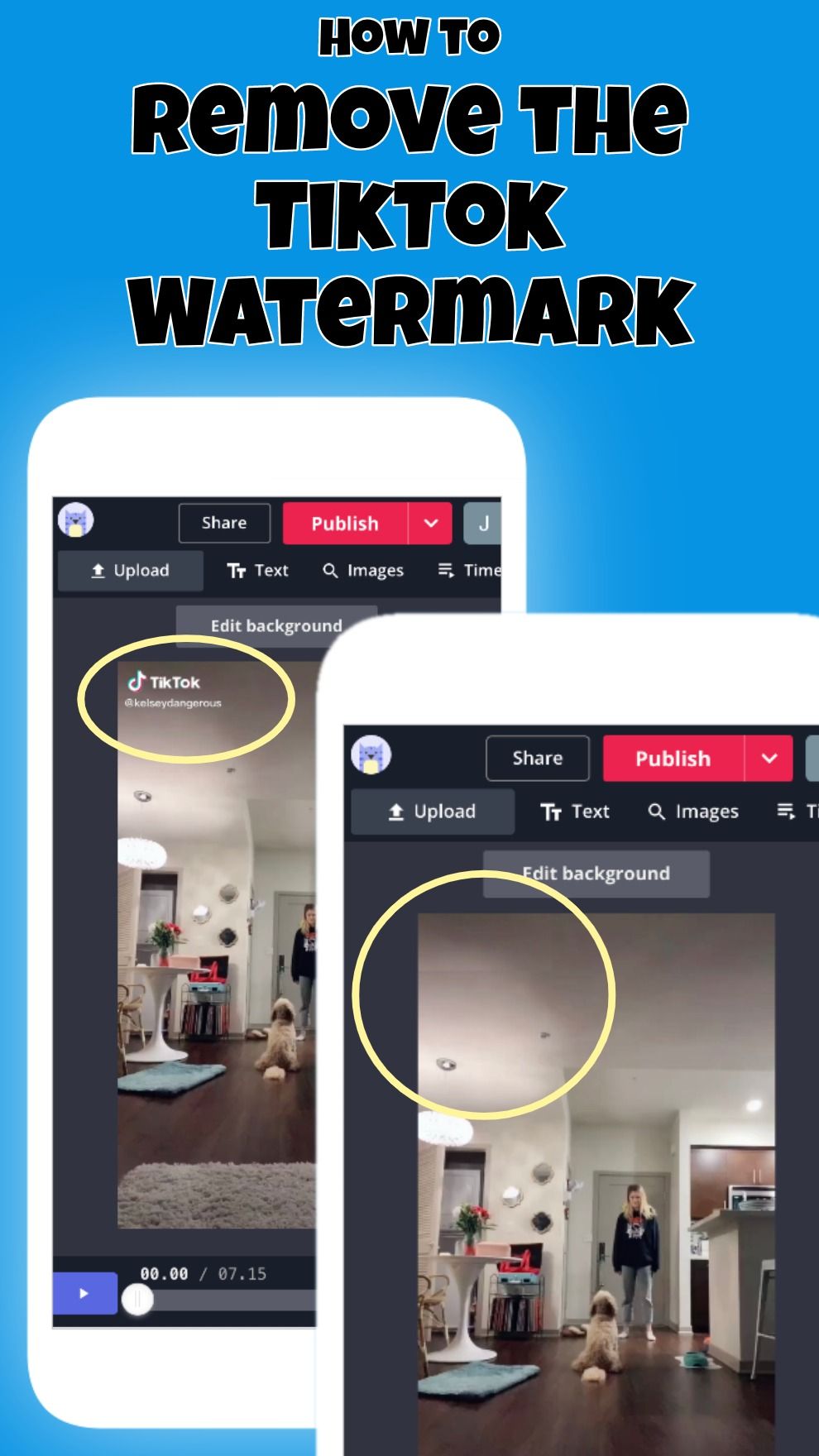 How to remove the tikTok watermark for free on Kapwing