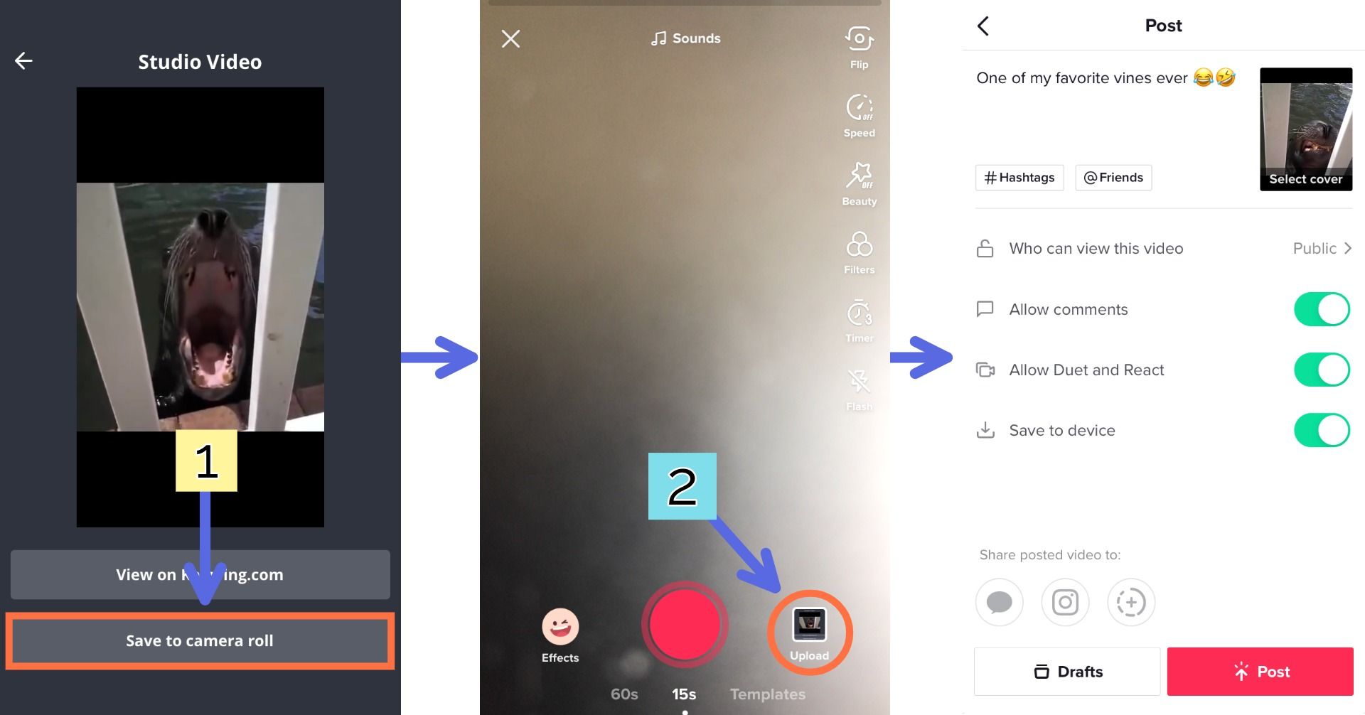 how to download tiktok video on pc