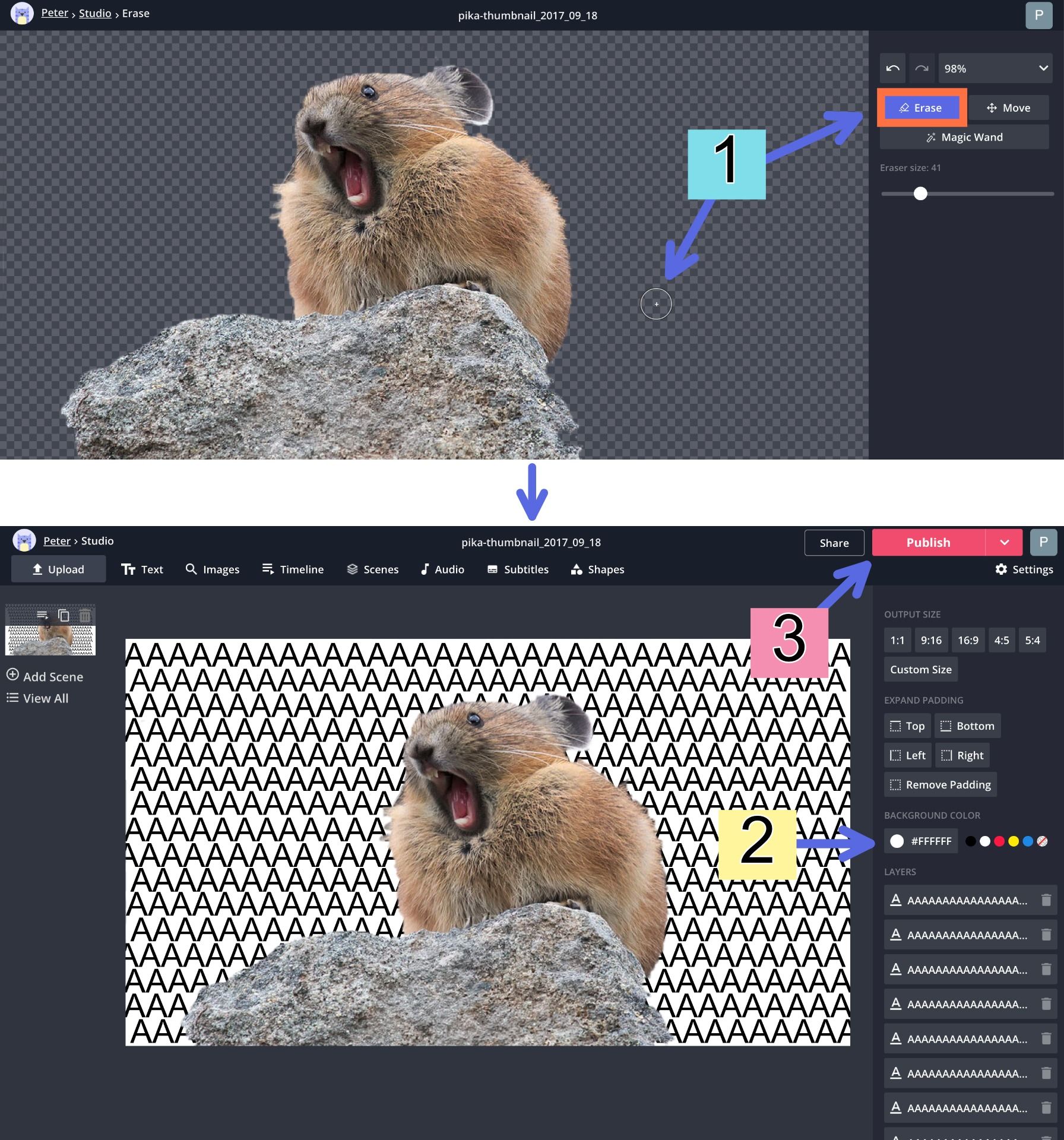 A screenshot showing how to create a new background in the Studio. 