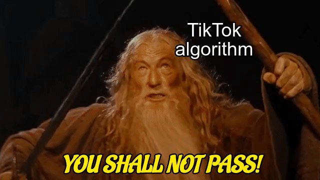A GIF of Galdalf saying "You shall not pass" from the Lord of the Rings. 