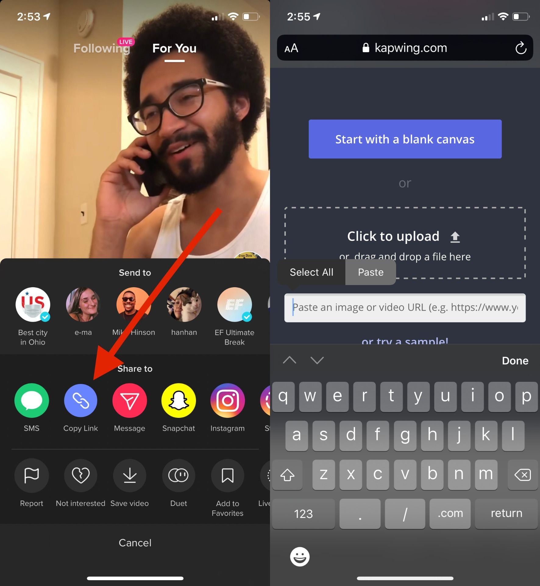 How To Share Tiktok Videos To Instagram Reels Triller And Byte With 