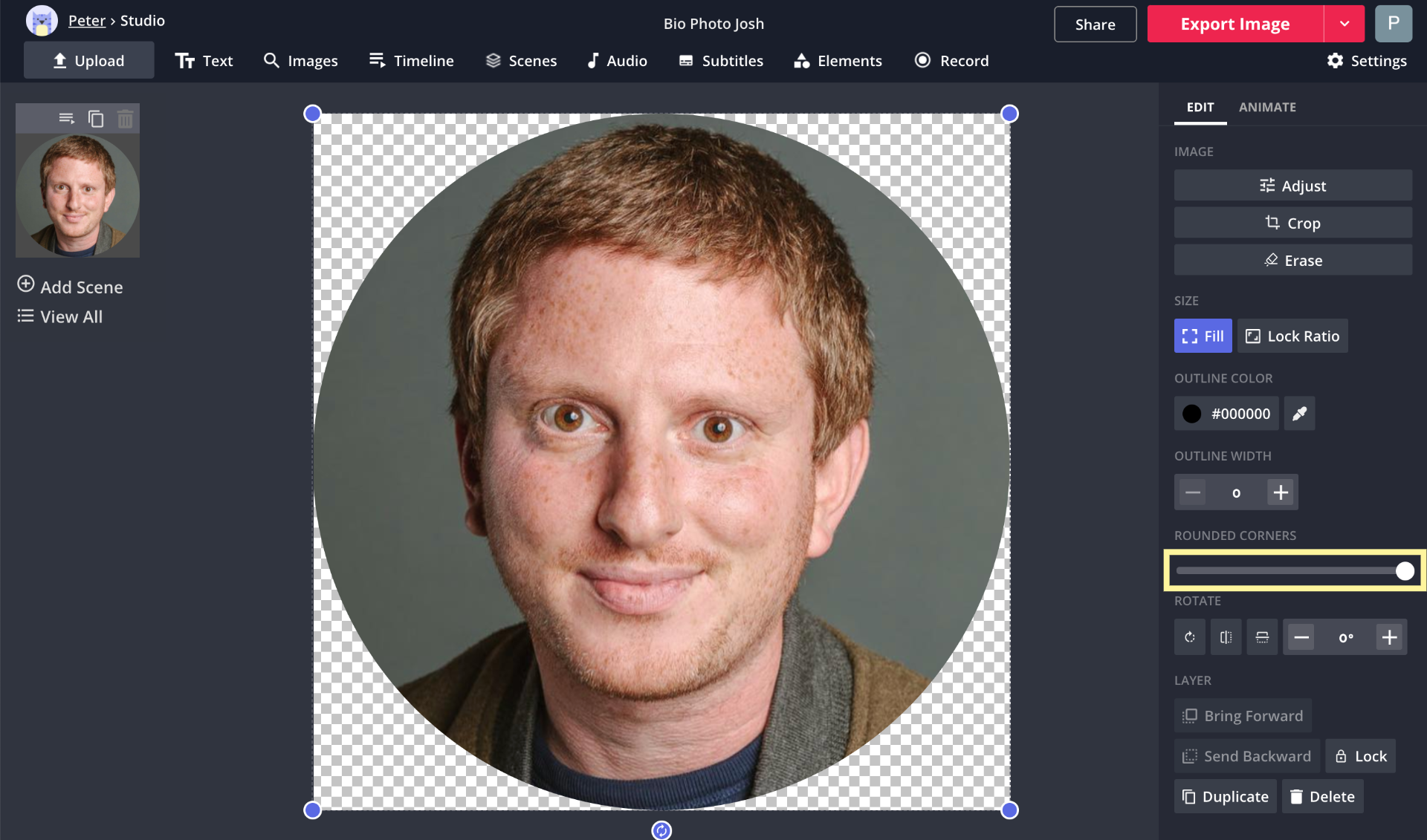 A screenshot of a bio photo being cropped to a circle in the Kapwing Studio. 