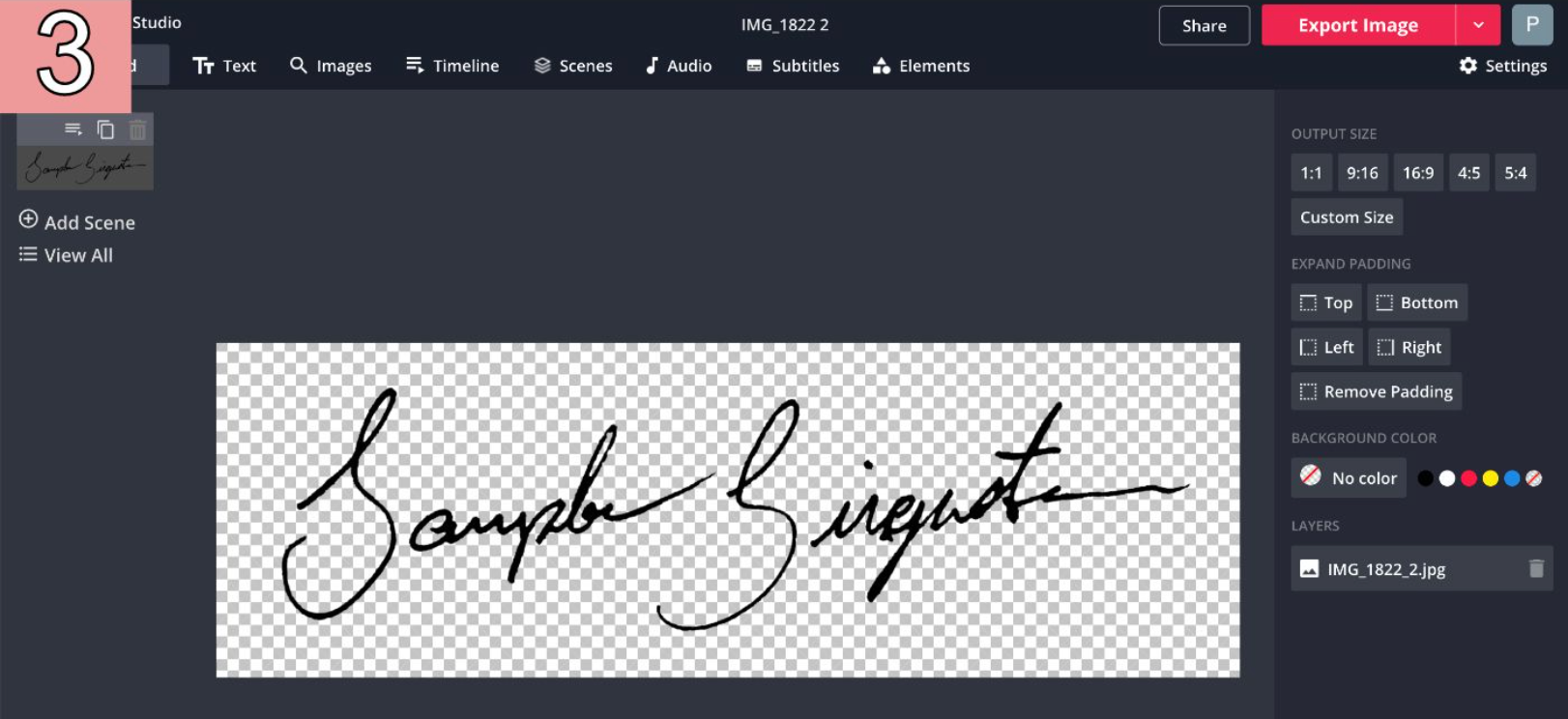 A screenshot of an erased signature image with high contrast in the Kapwing Studio. 