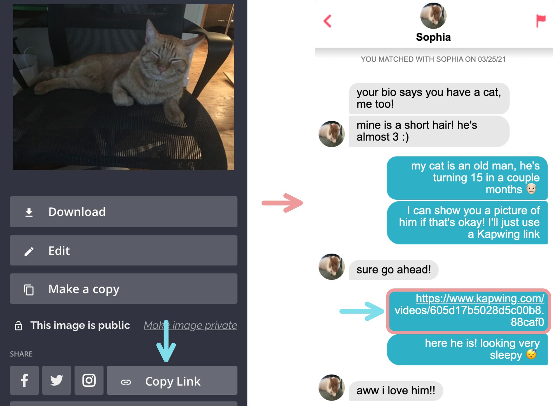 Screenshots showing how to download a link from Kapwing and share it with a match in Tinder. 