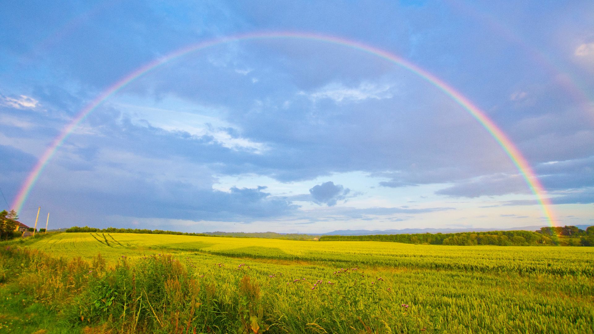 a field with a blue sky and a rainbow