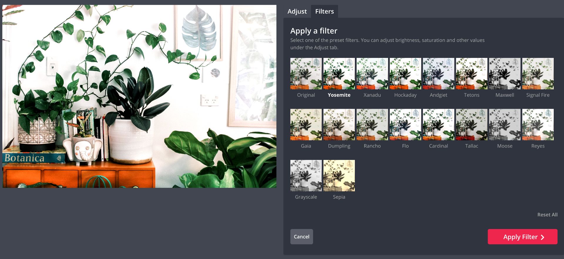 screenshot of filters in Kapwing