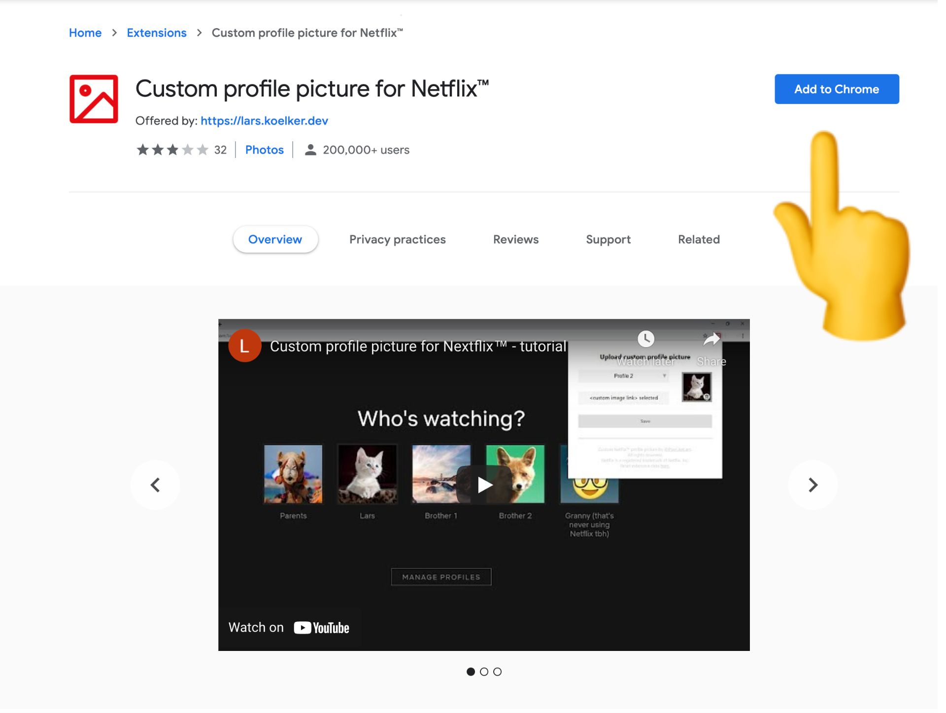 screenshot of the custom profile picture for Netflix extension