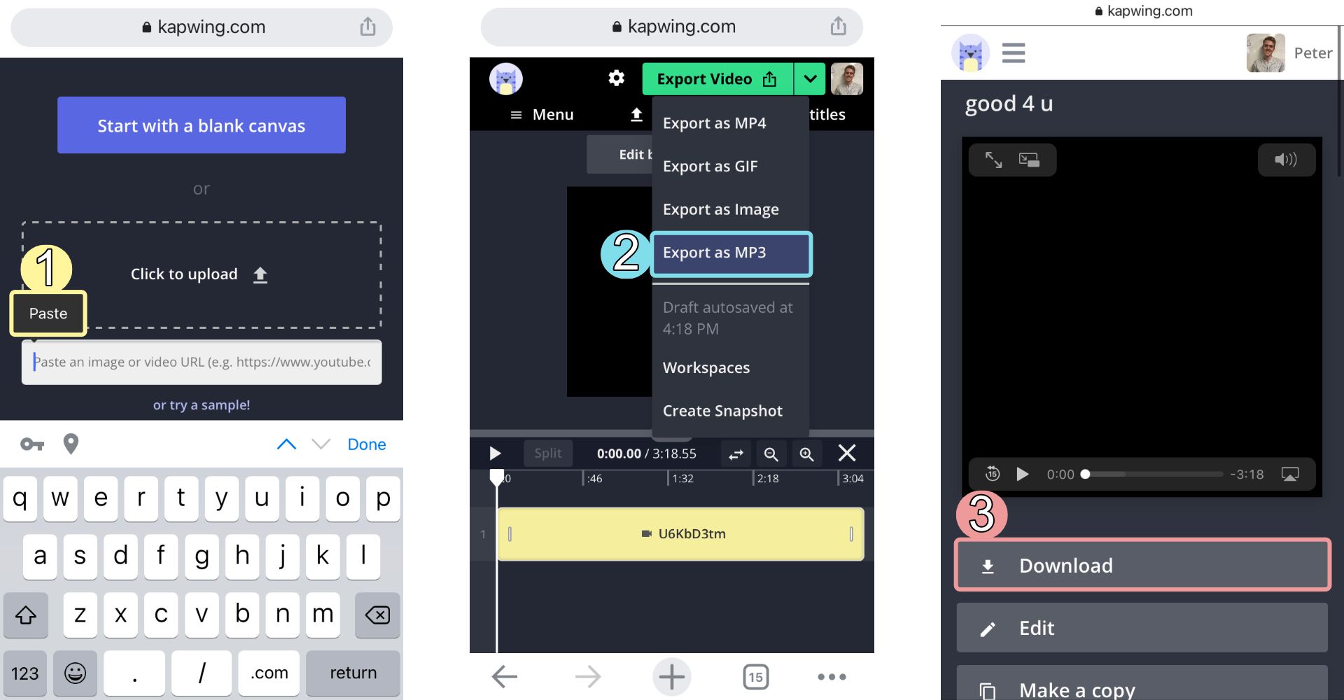 Screenshots showing how to download music fro YouTube or TikTok using the Kapwing Studio. 