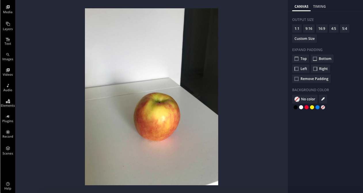 A screenshot of the Kapwing Studio, with the image of the image of the apple in the center.