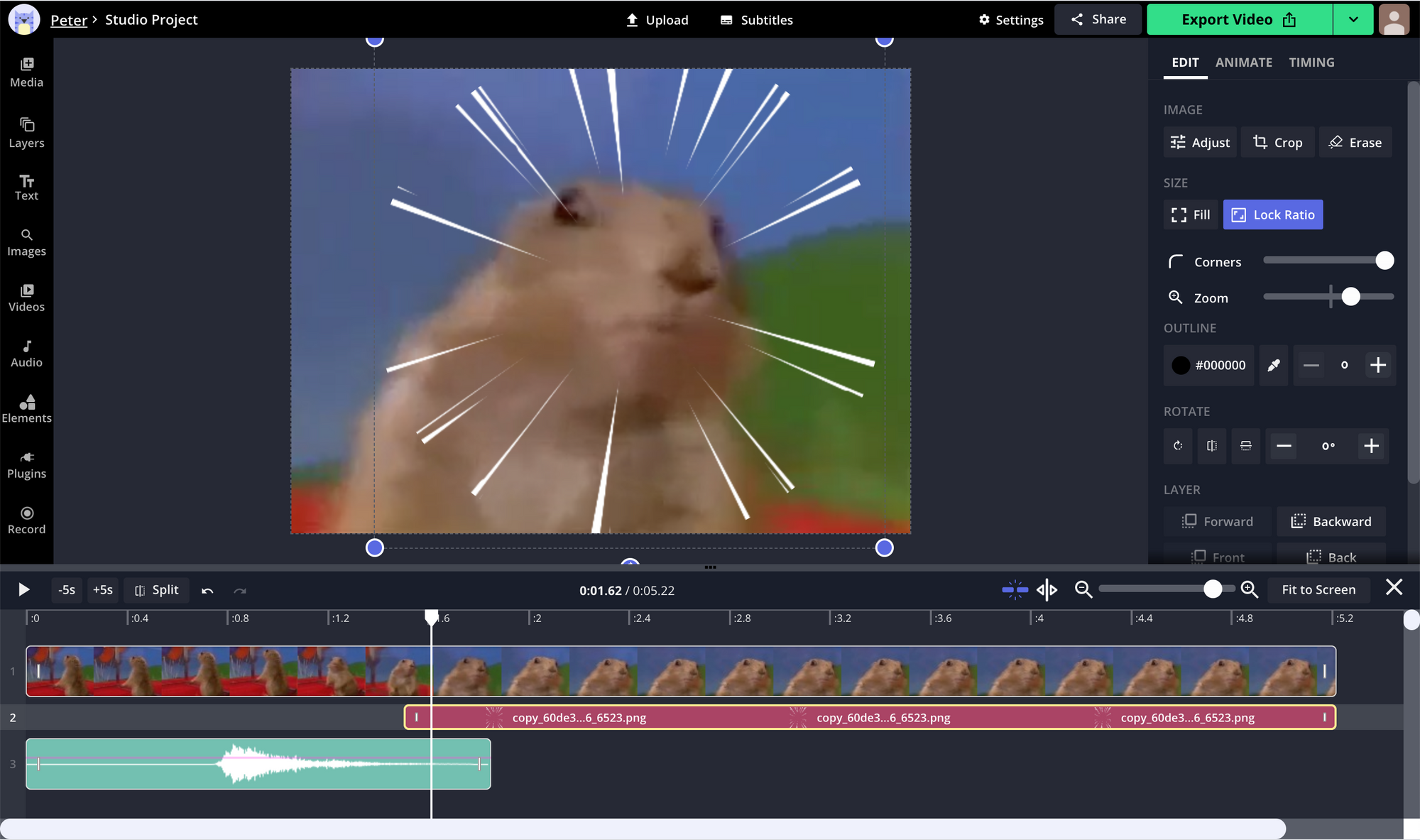 A screenshot showing overlay editing options in the Kapwing Studio. 