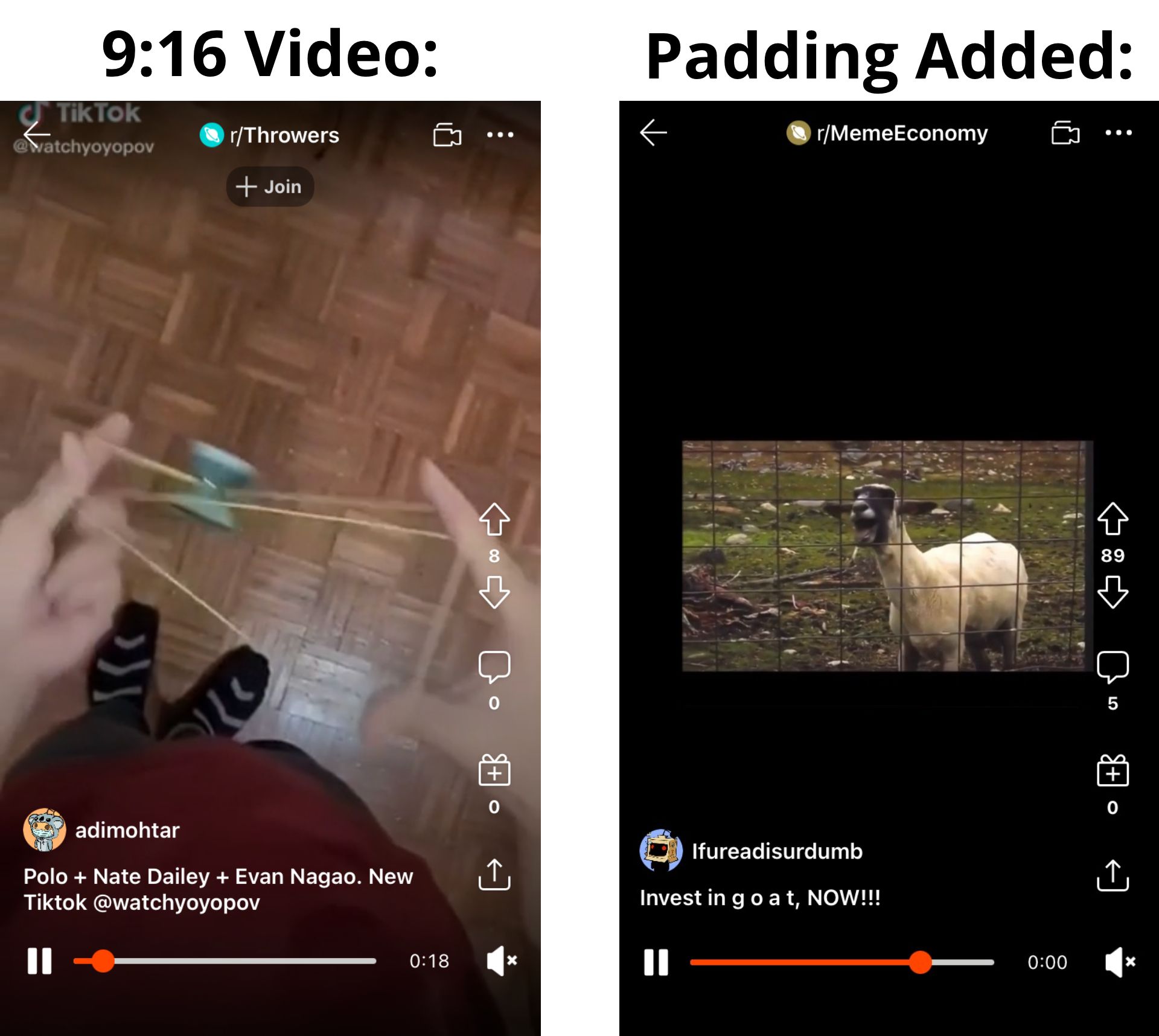 Screenshots showing Reddit videos shown in 9:16 full screen and with bars added to the top and bottom. 