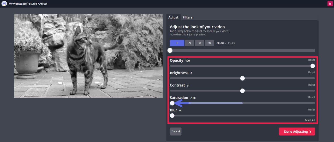 A screenshot showing how to remove color from a video in the Kapwing Editor