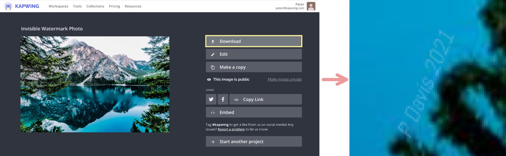A set of screenshots showing how to download watermarked content and verify its watermark. 