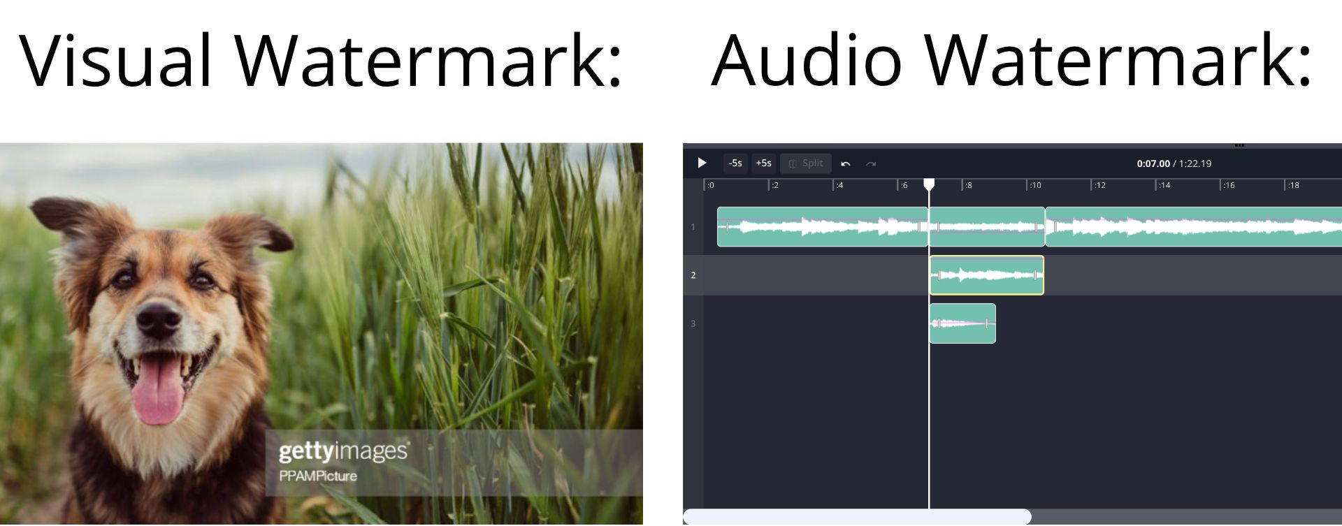 A graphic showing examples of visual and audio watermarks. 