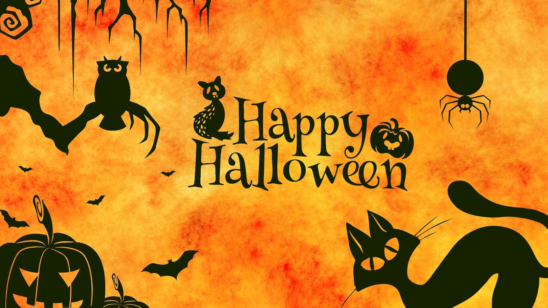 halloween zoom background video free