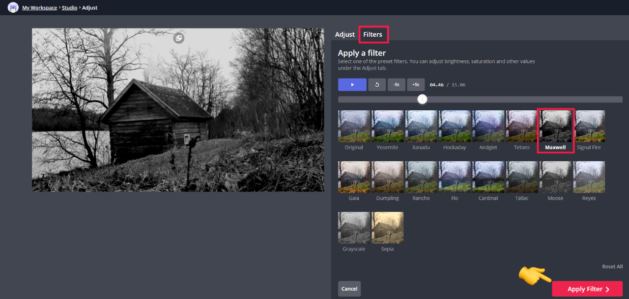 A screenshot showing the different filter options in the Kapwing Studio