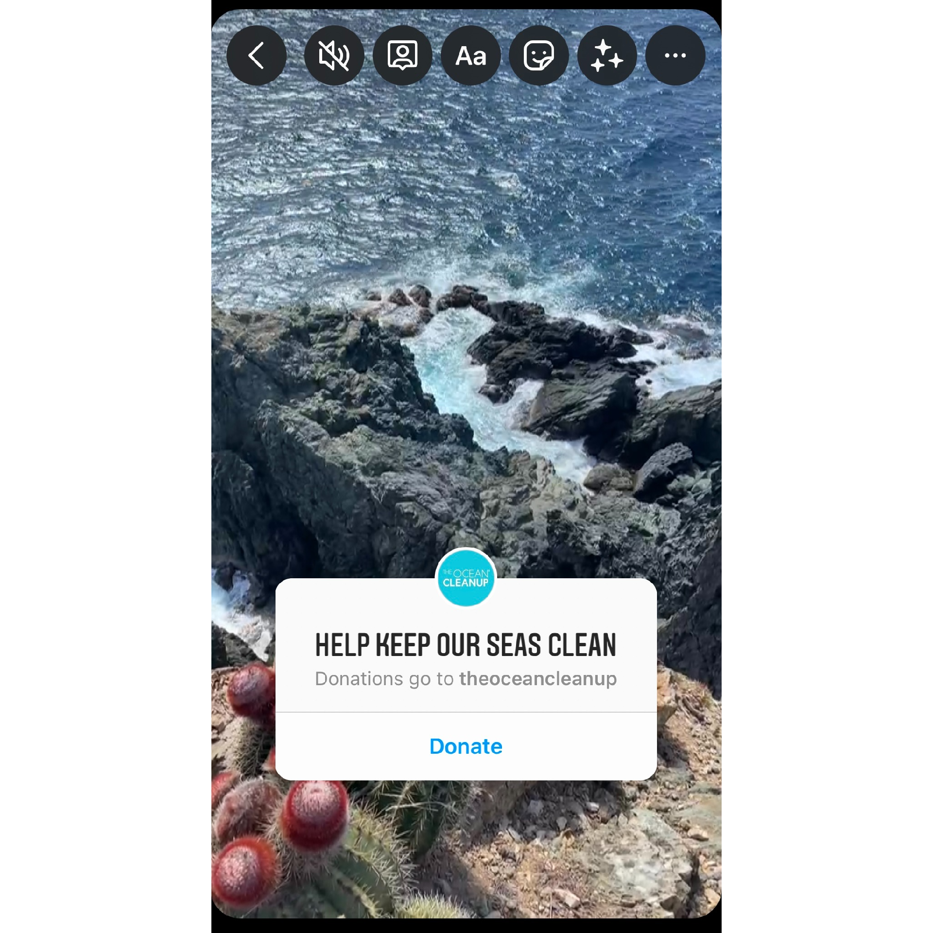 Publish the Donation Sticker to your Instagram Story.