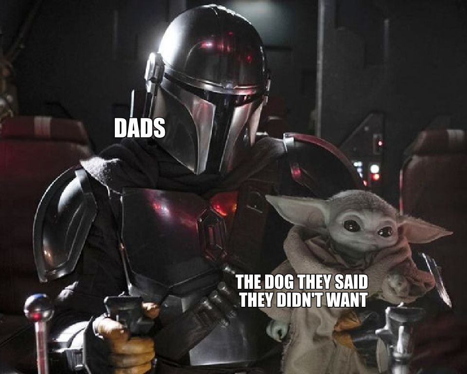 Mandalorian holding Baby Yoda with the text "Dads" and "The dog they said they didn't want"