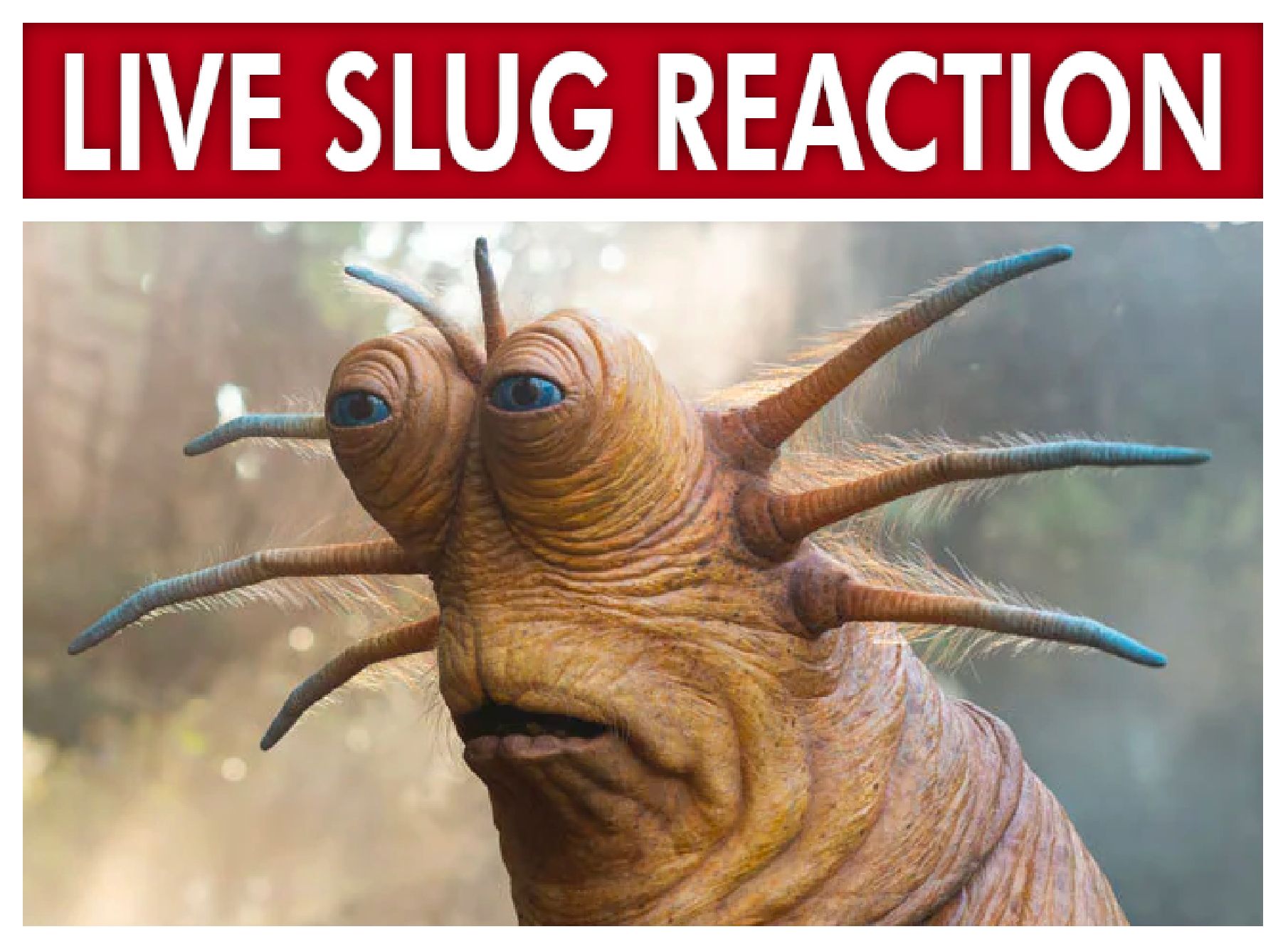 Live Slug Reaction Template Printable Blog Calendar Here