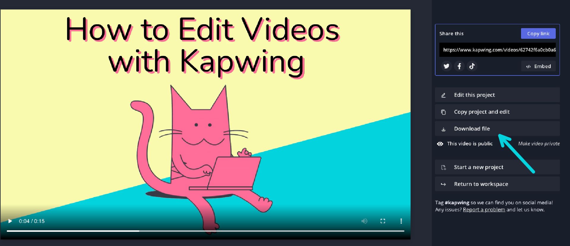 How to export and download a video from Kapwing