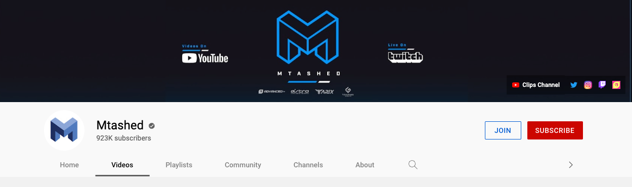 Example of a gaming channel logo and branding from Mtashed
