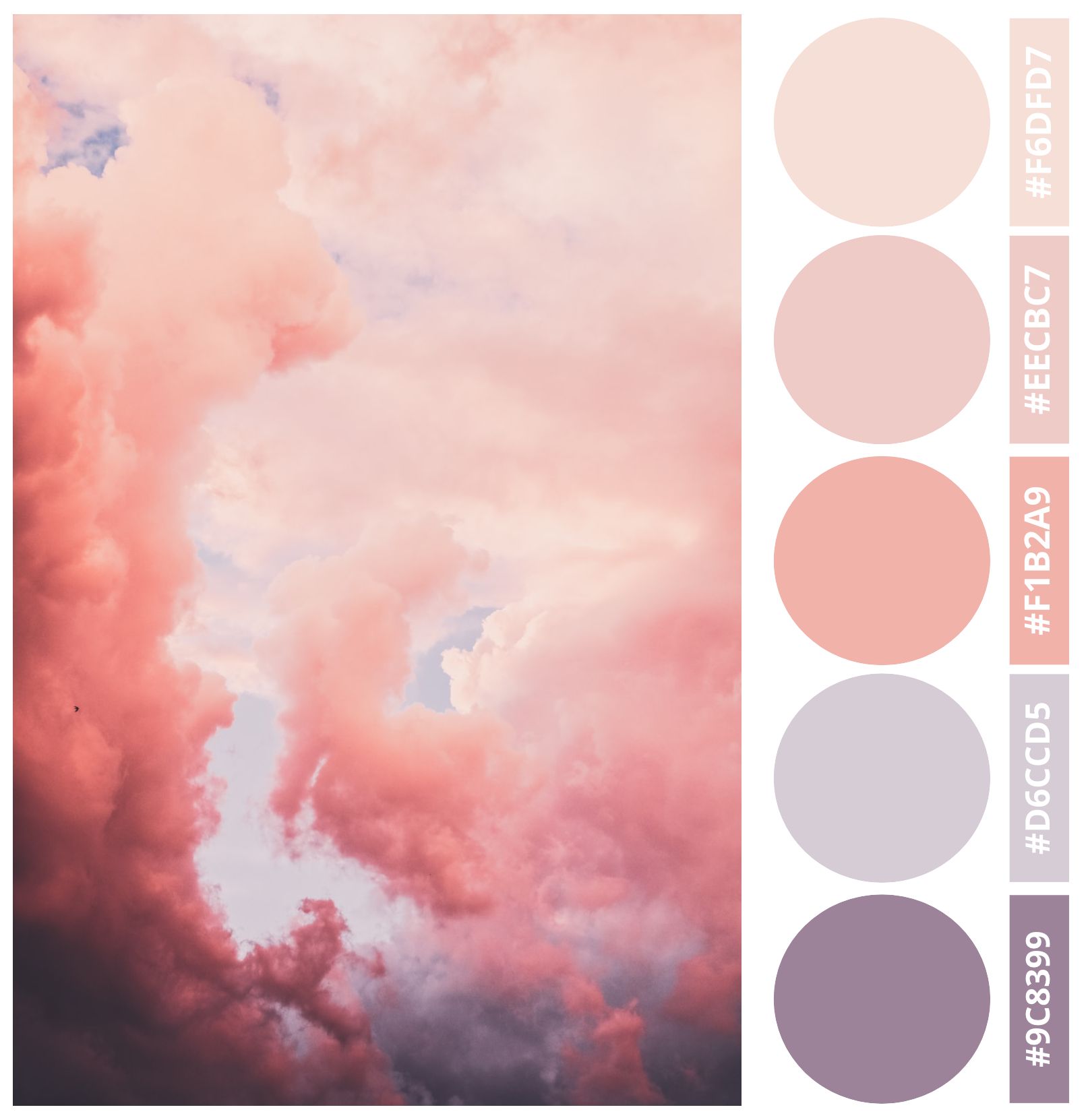 21 Beautiful Pastel Color Palette Examples with Color Codes