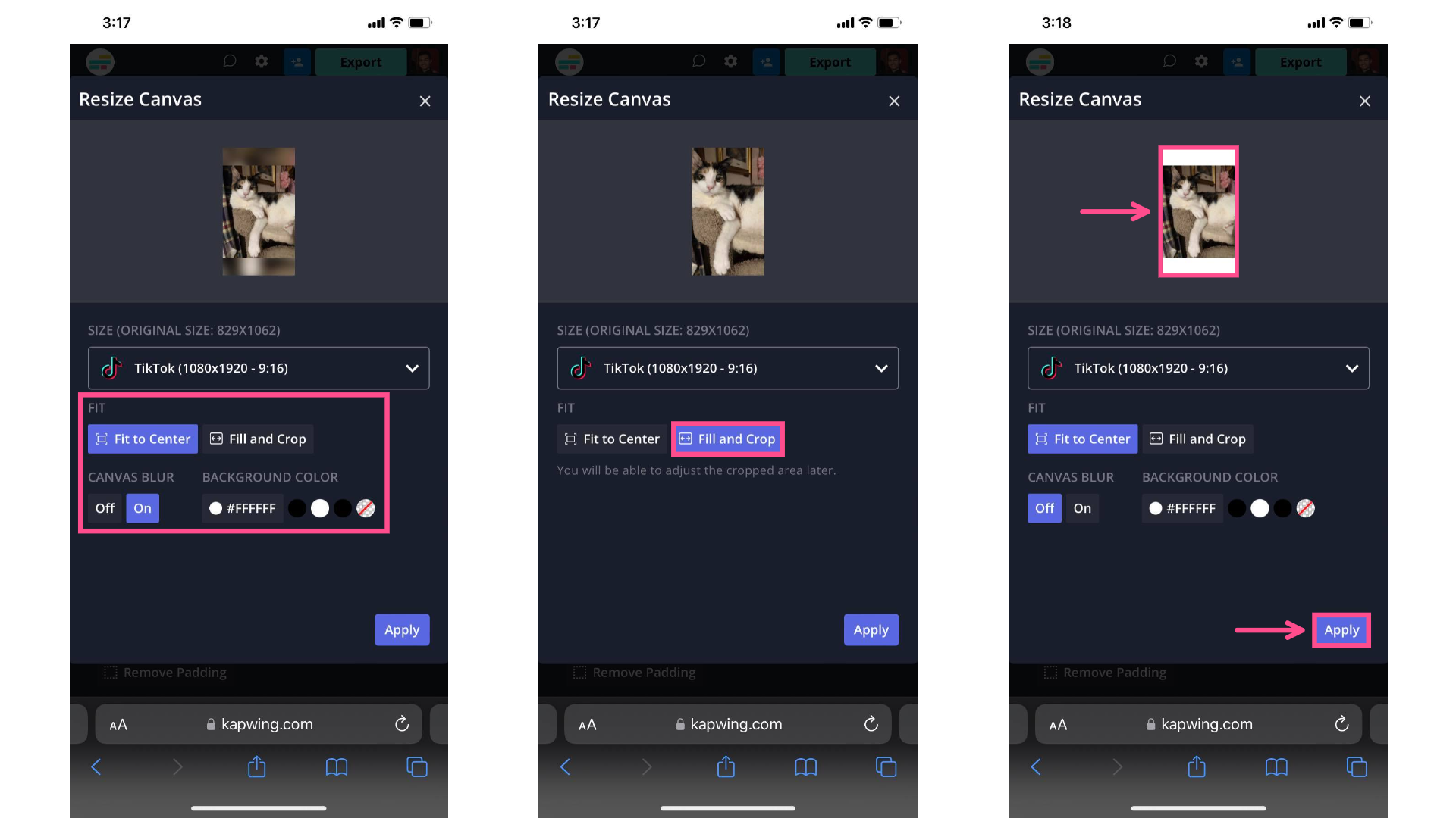 How to Post Photos and Carousels on TikTok with Photo Mode