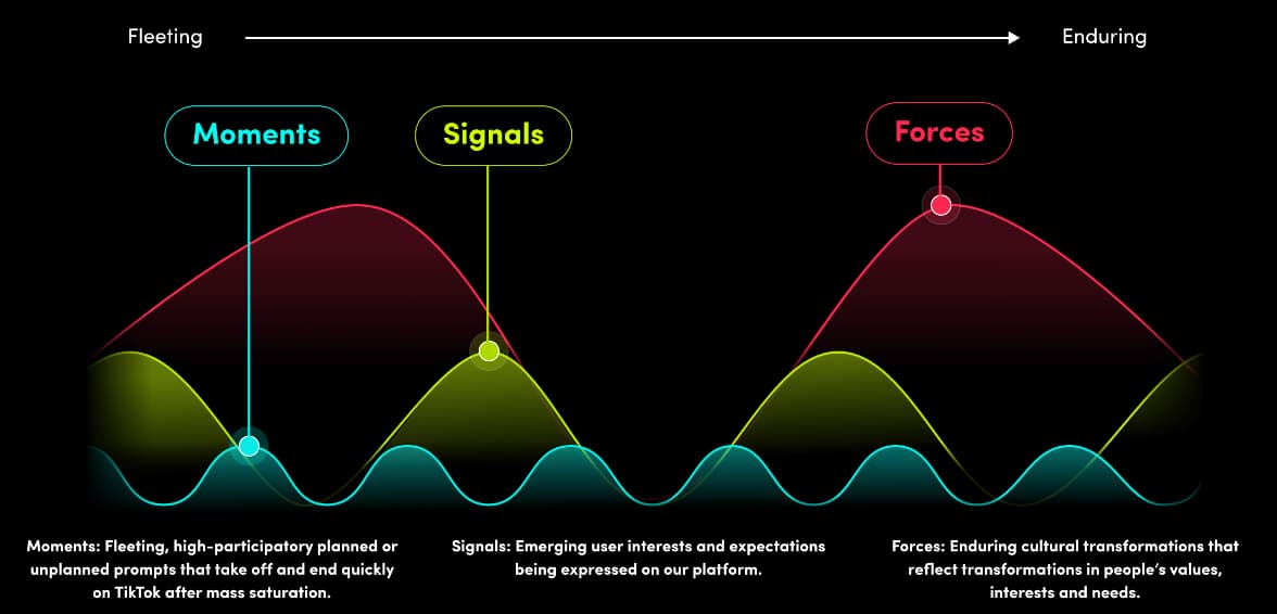 Top 6 Secrets About TikTok's Algorithm You Need To Know