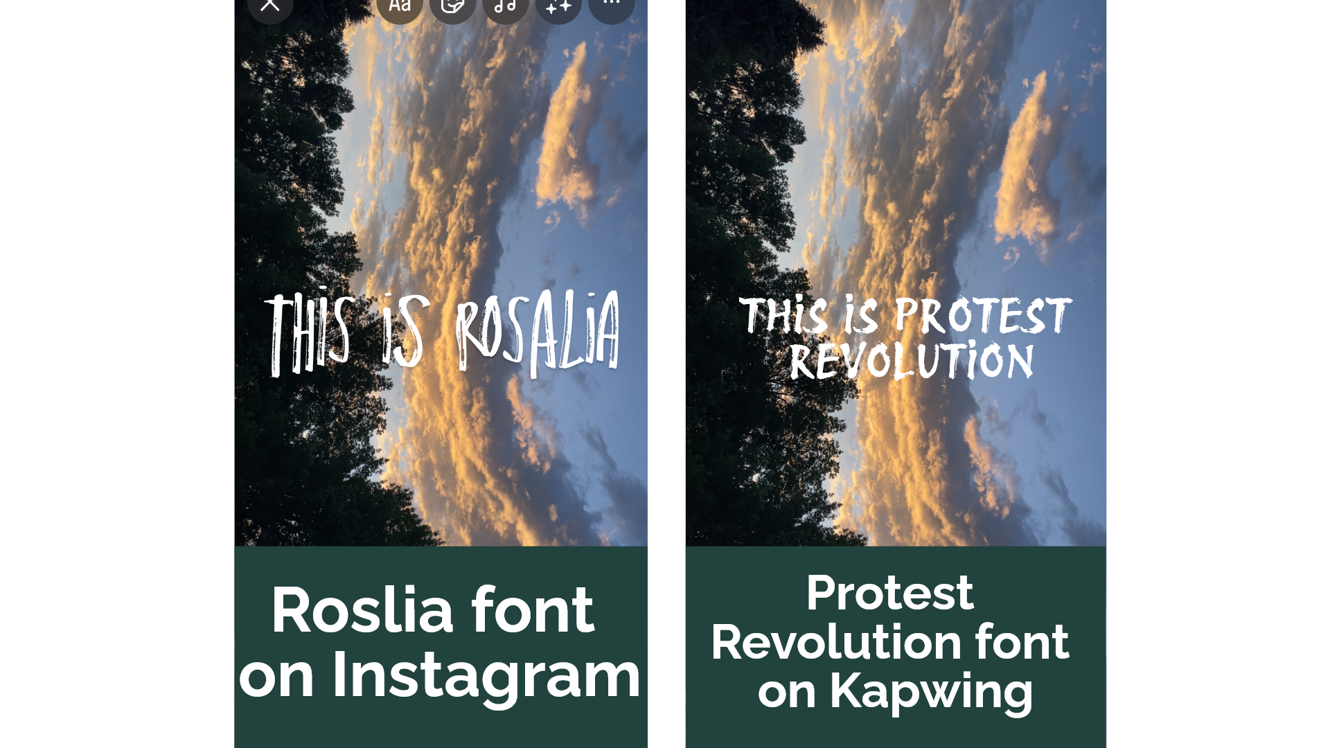 A side by side comparison of the Rosalia font and Protest Revolution font for similarity. 