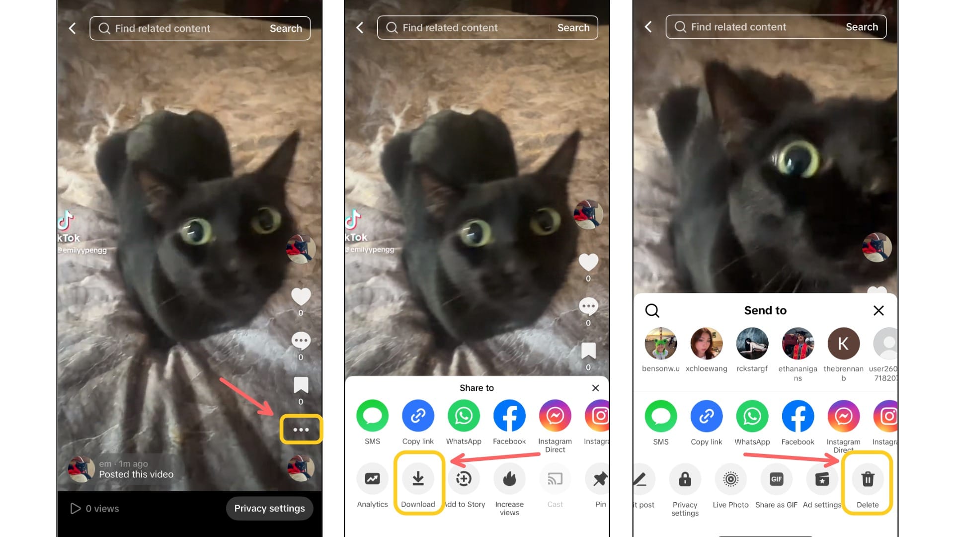 Three screenshots showing how to download and delete the video