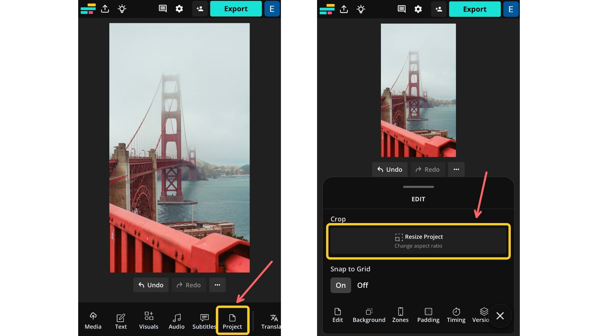 Two screenshots showing the Project tab and the Resize Project button
