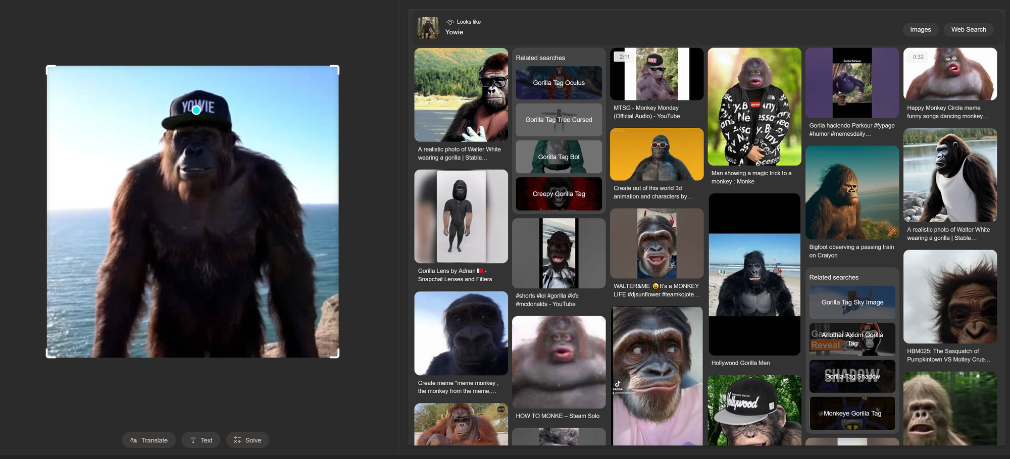 Results from a reverse video search using the Bing image search browser.